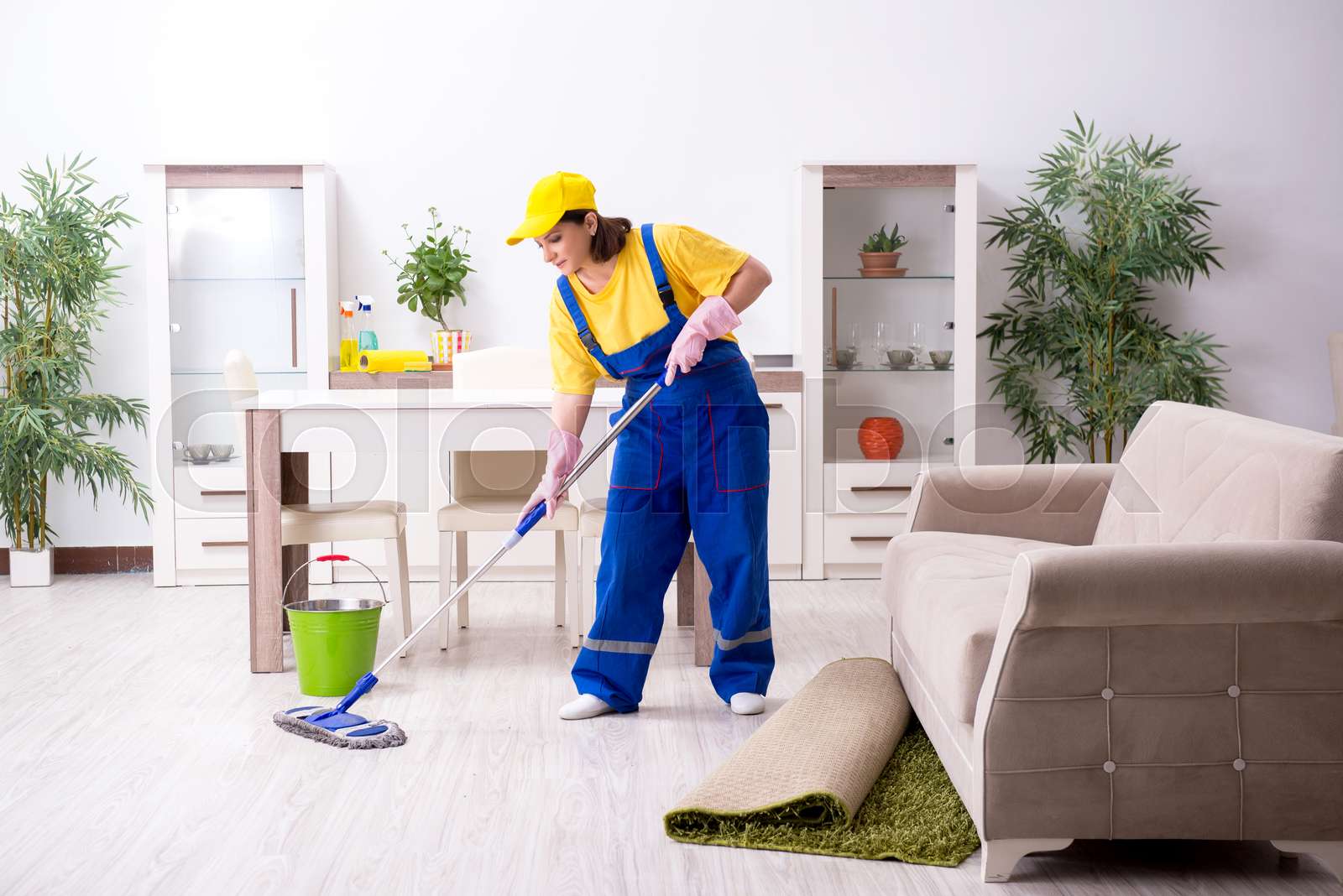 HOUSE WORKER 