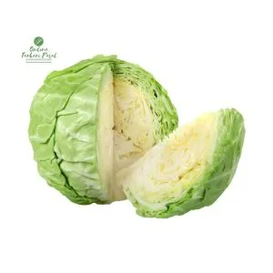 Banda ( Cabbage )